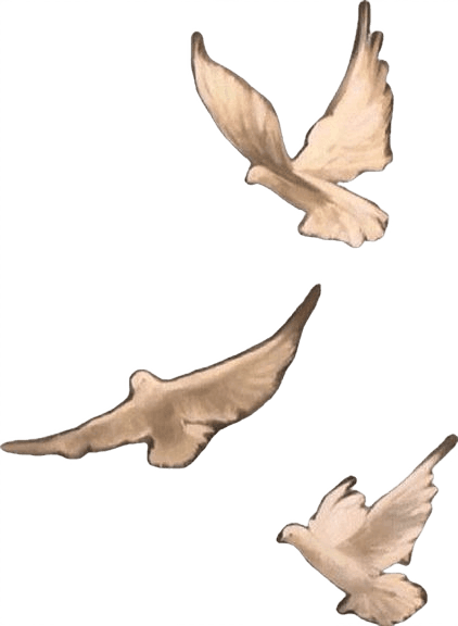 Bird decoration