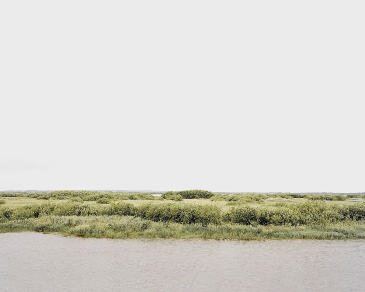 Grassland background